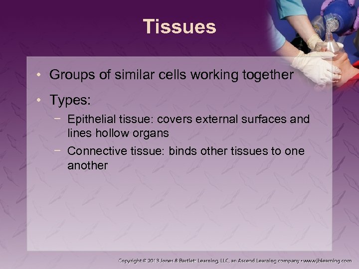 Tissues • Groups of similar cells working together • Types: − Epithelial tissue: covers