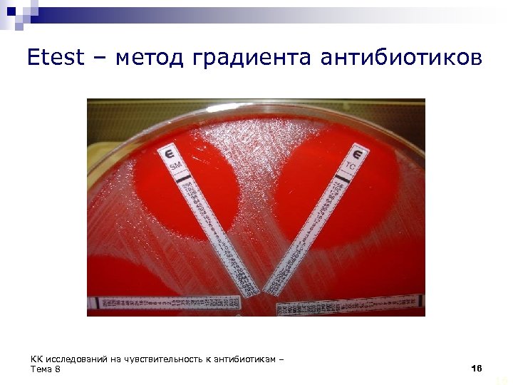 Etest – метод градиента антибиотиков КК исследований на чувствительность к антибиотикам – Тема 8