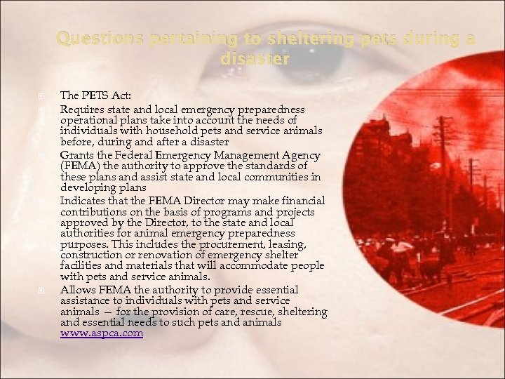 Questions pertaining to sheltering pets during a disaster The PETS Act: Requires state and