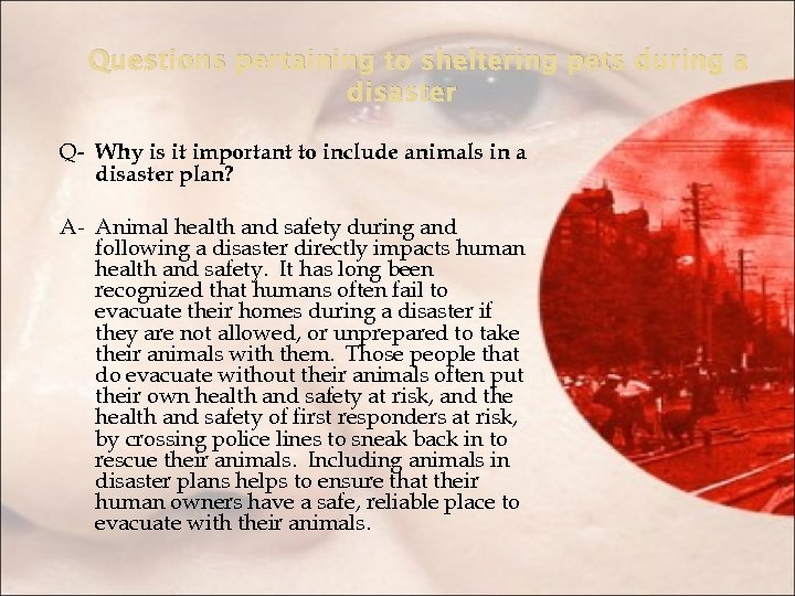 Questions pertaining to sheltering pets during a disaster Q- Why is it important to