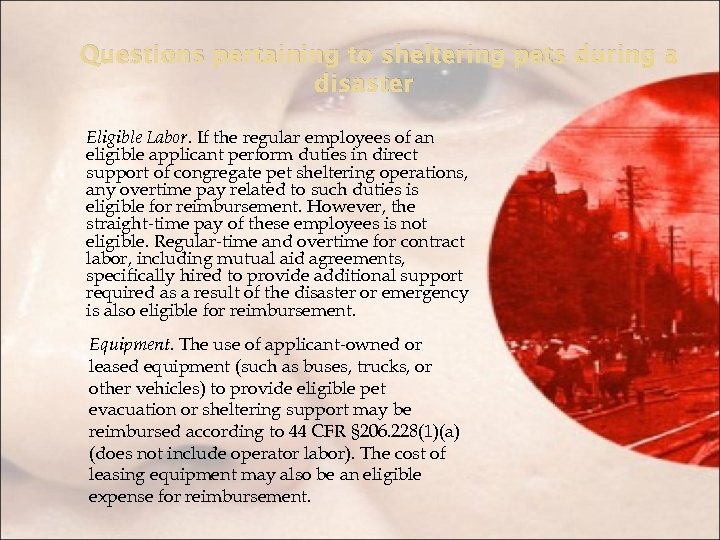 Questions pertaining to sheltering pets during a disaster Eligible Labor. If the regular employees