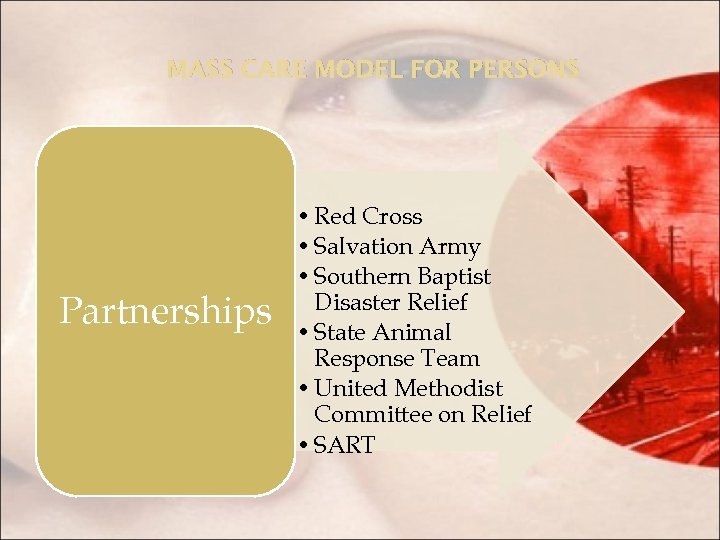 MASS CARE MODEL FOR PERSONS Partnerships • Red Cross • Salvation Army • Southern