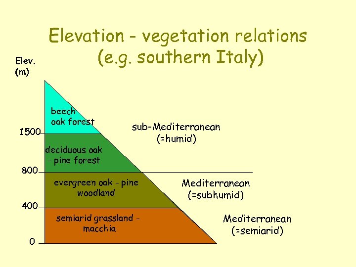 Elev. (m) 1500 800 400 0 Elevation - vegetation relations (e. g. southern Italy)