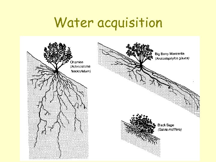 Water acquisition 