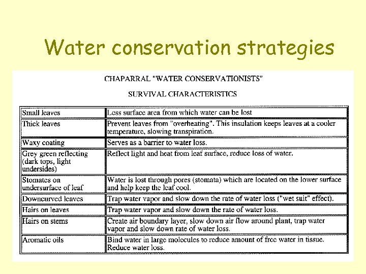 Water conservation strategies 