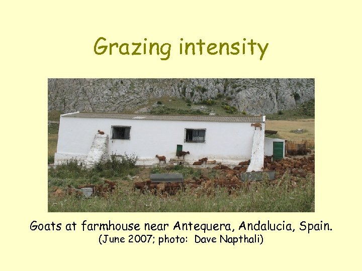 Grazing intensity Goats at farmhouse near Antequera, Andalucia, Spain. (June 2007; photo: Dave Napthali)