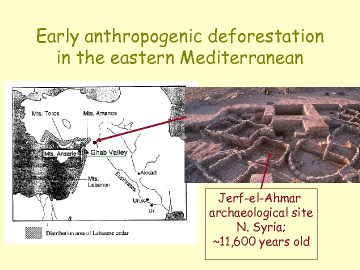 Early anthropogenic deforestation in the eastern Mediterranean Jerf-el-Ahmar archaeological site N. Syria; ~11, 600