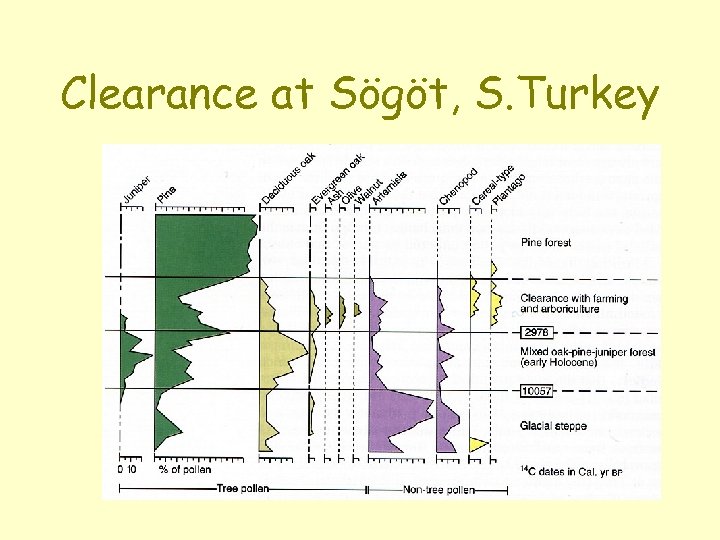 Clearance at Sögöt, S. Turkey 