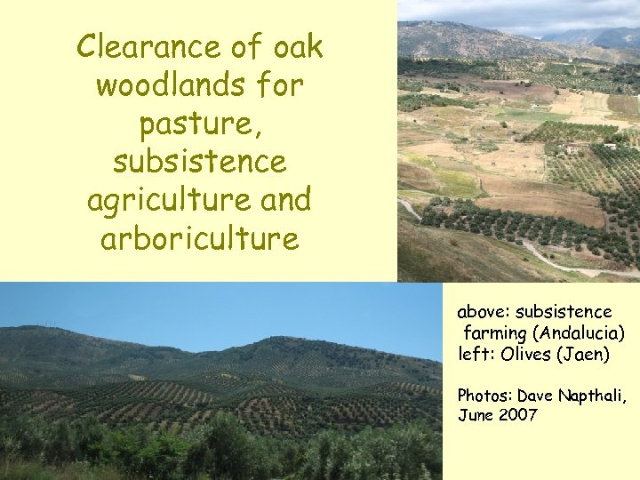 Clearance of oak woodlands for pasture, subsistence agriculture and arboriculture above: subsistence farming (Andalucia)