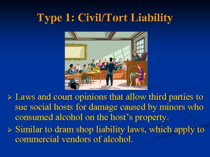 Type 1: Civil/Tort Liability Laws and court opinions that allow third parties to sue