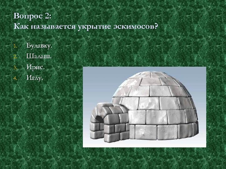 Вопрос 2: Как называется укрытие эскимосов? 1. 2. 3. 4. Булавку. Шалаш. Ирис. Иглу.