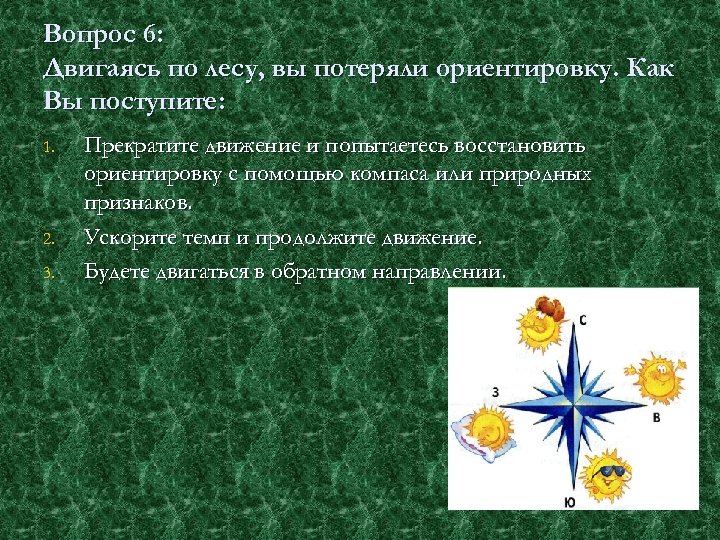 Вопрос 6: Двигаясь по лесу, вы потеряли ориентировку. Как Вы поступите: 1. 2. 3.