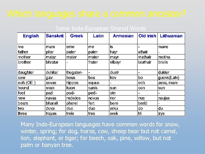 Which languages share a common ancestor? Some Indo-European Shared Words Many Indo-European languages have
