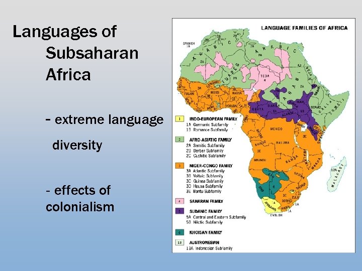 Languages of Subsaharan Africa - extreme language diversity - effects of colonialism 