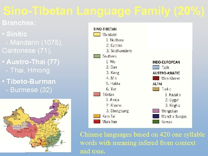 Sino-Tibetan Language Family (20%) Branches: • Sinitic - Mandarin (1075), Cantonese (71), • Austro-Thai