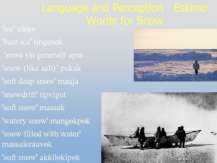 'ice' sikko Language and Perception - Eskimo Words for Snow 'bare ice' tingenek 'snow