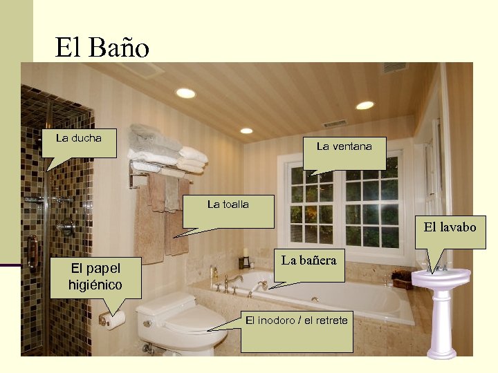 El Baño La ducha La ventana La toalla El lavabo El papel higiénico La