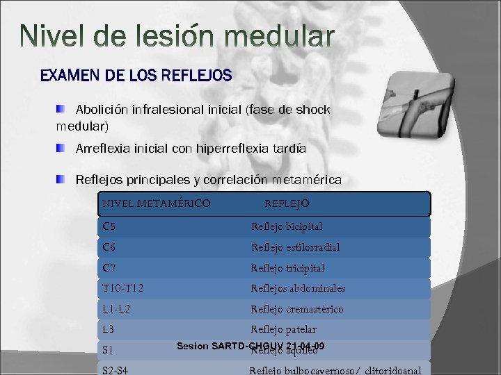 EXAMEN DE LOS REFLEJOS Abolición infralesional inicial (fase de shock medular) Arreflexia inicial con