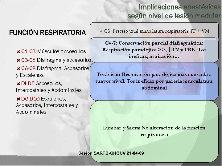 > C 3: Fracaso total musculatura respiratoria: IT + VM C 1 -C 3