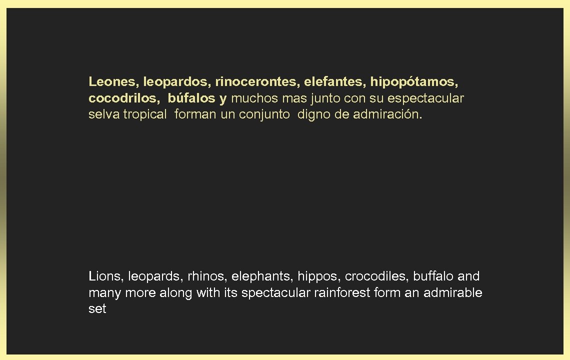 Leones, leopardos, rinocerontes, elefantes, hipopótamos, cocodrilos, búfalos y muchos mas junto con su espectacular