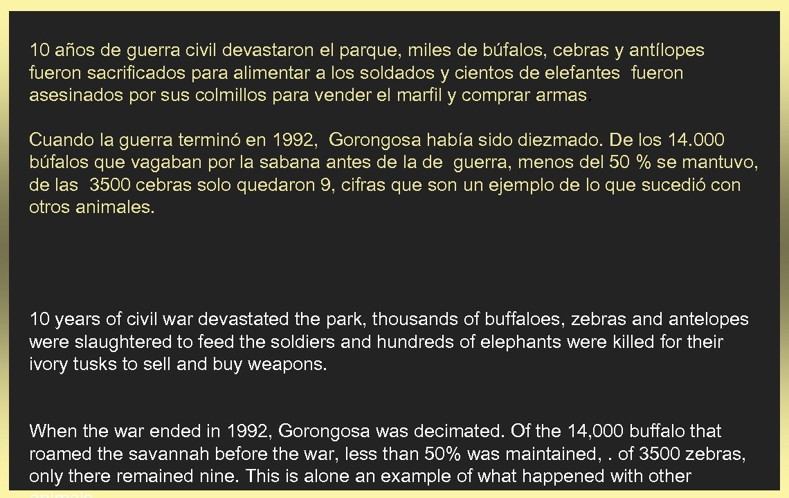 10 años de guerra civil devastaron el parque, miles de búfalos, cebras y antílopes
