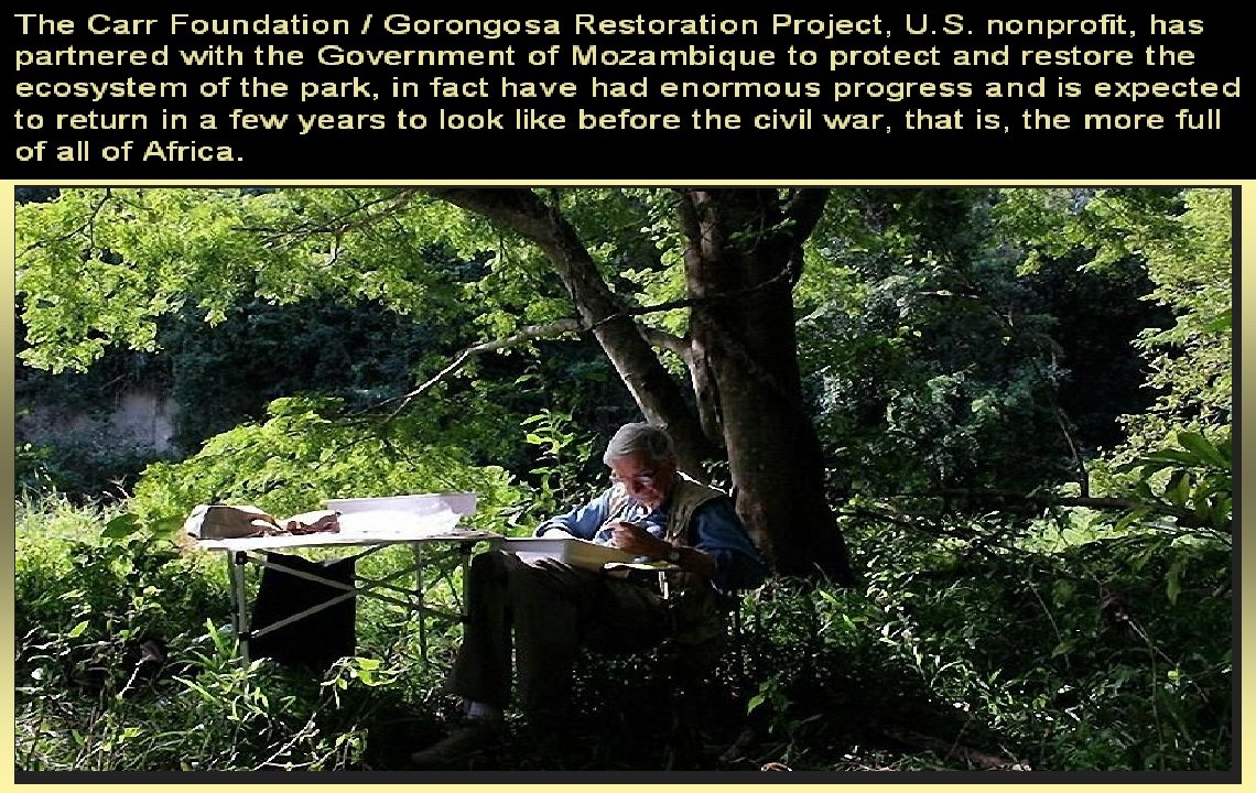 La Fundación Carr / Gorongosa Restoration Project, de EE. UU. sin fines de lucro,