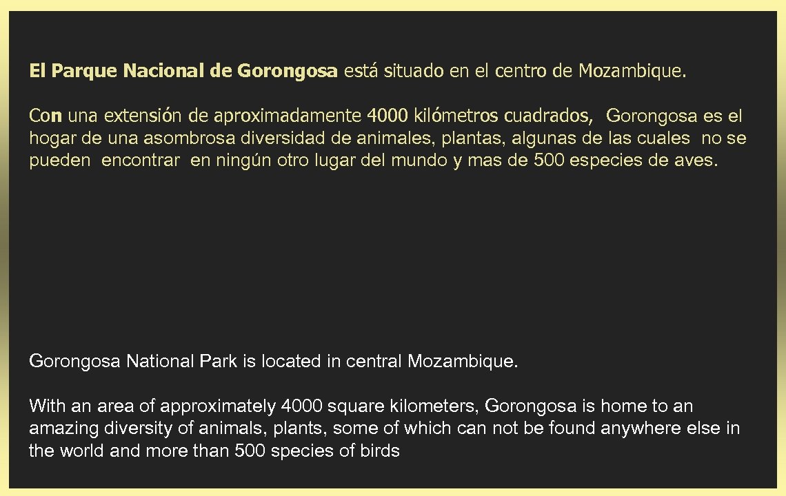 El Parque Nacional de Gorongosa está situado en el centro de Mozambique. Con una