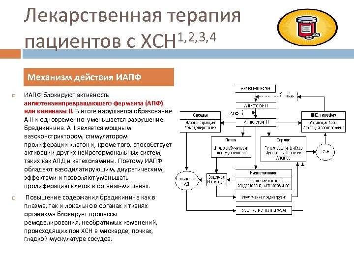 Лекарственная терапия 1, 2, 3, 4 пациентов с ХСН Механизм действия ИАПФ блокируют активность