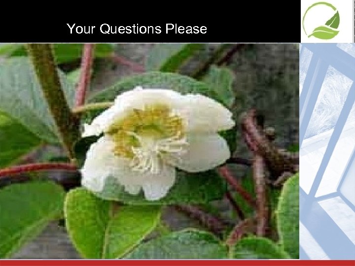 Your Questions Please 