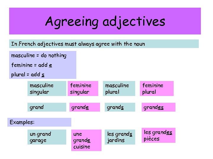 Agreeing adjectives In French adjectives must always agree with the noun masculine = do