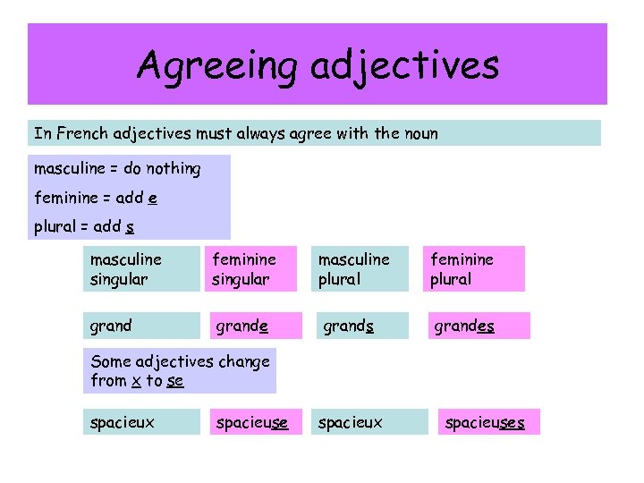 Agreeing adjectives In French adjectives must always agree with the noun masculine = do