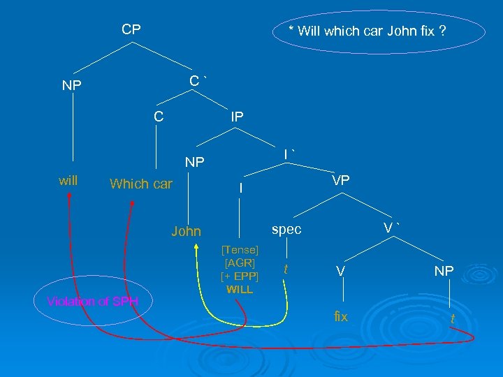 CP * Will which car John fix ? C` NP IP C I` NP
