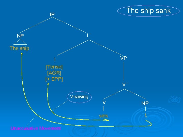 The ship sank IP I` NP The ship VP I [Tense] [AGR] [+ EPP]