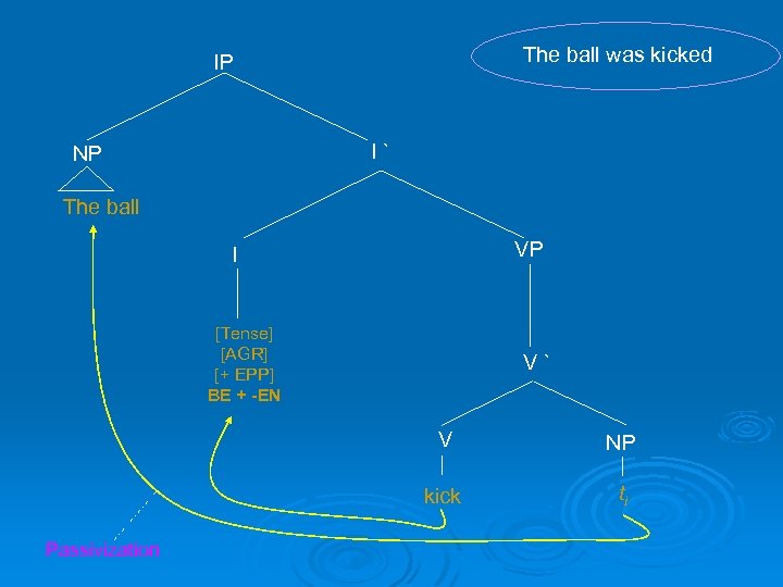 The ball was kicked IP I` NP The ball VP I [Tense] [AGR] [+