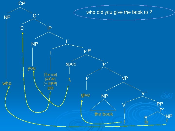 CP who did you give the book to ? C` NP IP C I`
