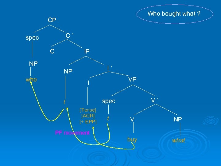 Who bought what ? CP C` spec IP C NP I` NP who VP