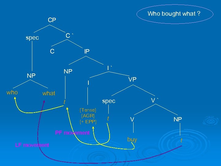 Who bought what ? CP C` spec IP C I` NP NP VP I