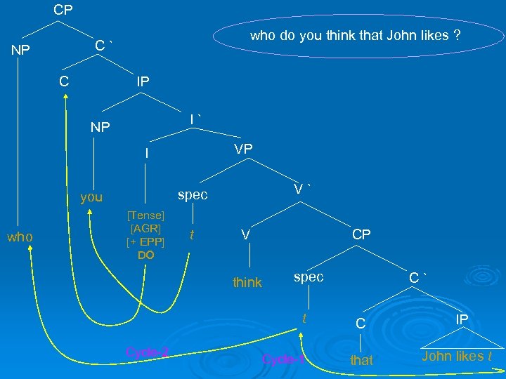 CP who do you think that John likes ? C` NP IP C I`