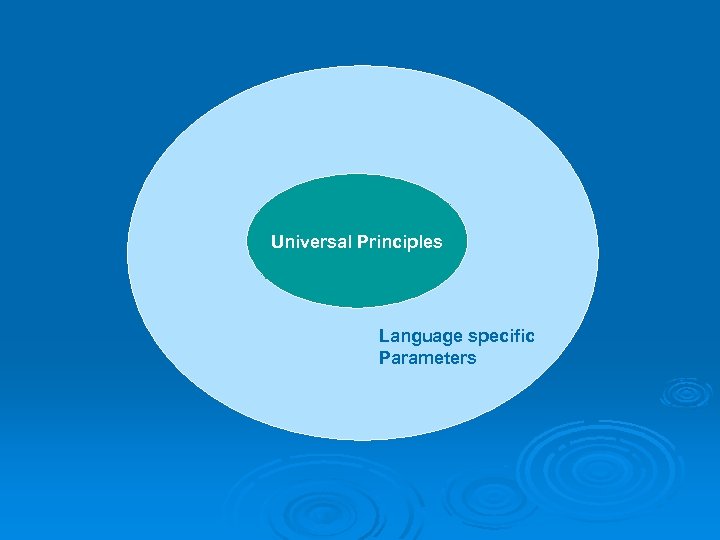 Universal Principles Language specific Parameters 