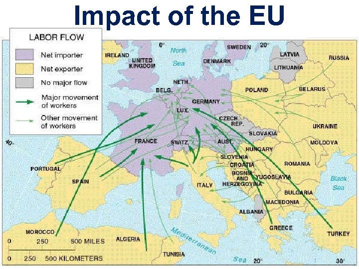 Impact of the EU 