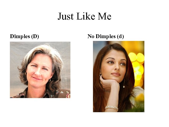 Just Like Me Dimples (D) No Dimples (d) 