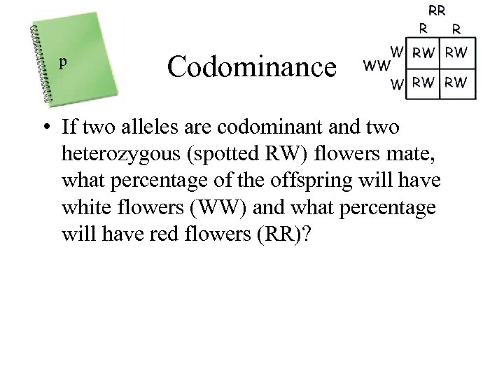 p Codominance • If two alleles are codominant and two heterozygous (spotted RW) flowers