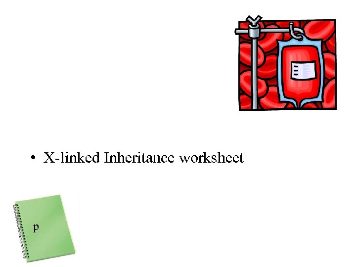  • X-linked Inheritance worksheet p 