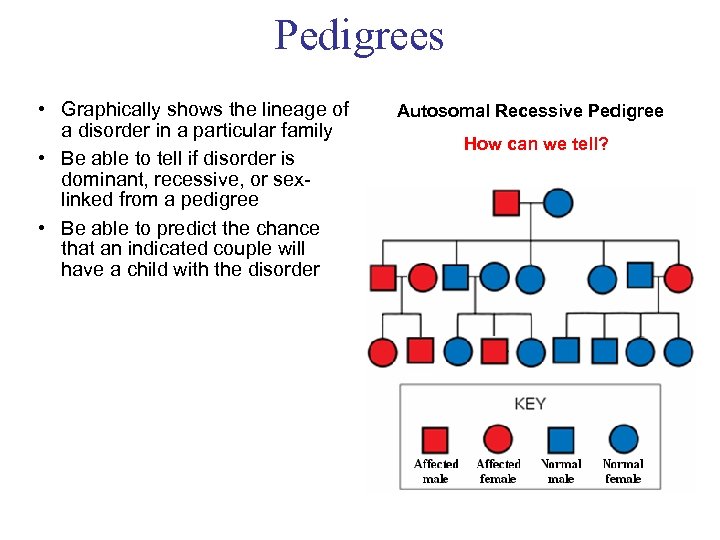 Pedigrees • Graphically shows the lineage of a disorder in a particular family •