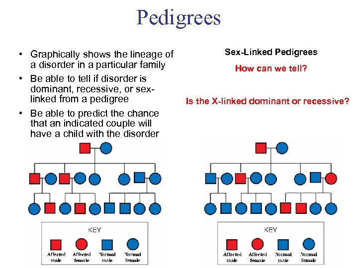 Pedigrees • Graphically shows the lineage of a disorder in a particular family •