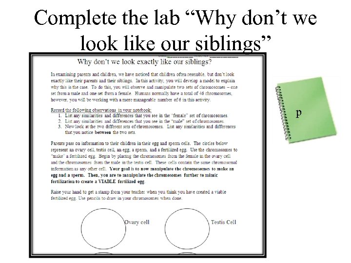 Complete the lab “Why don’t we look like our siblings” p 