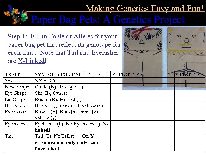 Making Genetics Easy and Fun! Paper Bag Pets: A Genetics Project Step 1: Fill