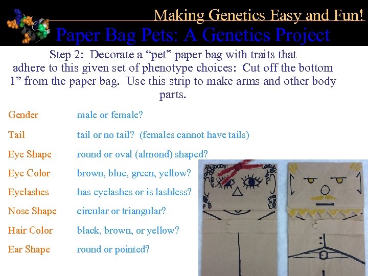 Making Genetics Easy and Fun! Paper Bag Pets: A Genetics Project Step 2: Decorate