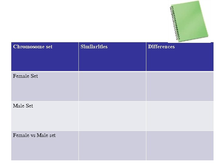 Chromosome set Female Set Male Set Female vs Male set Similarities Differences 