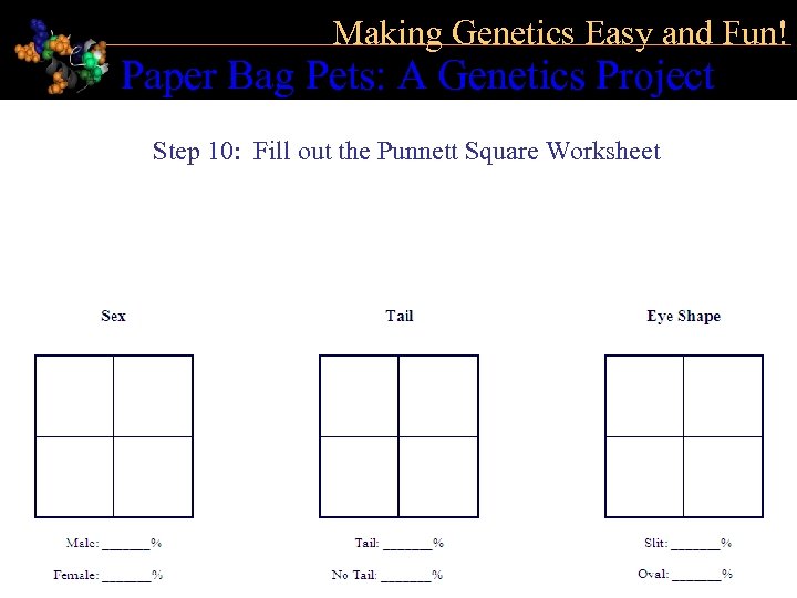 Making Genetics Easy and Fun! Paper Bag Pets: A Genetics Project Step 10: Fill